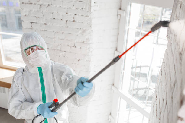 Best Mold Remediation for Healthcare Facilities  in Swartz Creek, MI