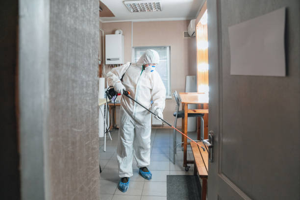 Best Dehumidification Services  in Swartz Creek, MI