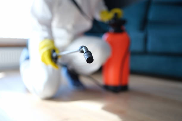 Best Forensic Mold Investigation  in Swartz Creek, MI